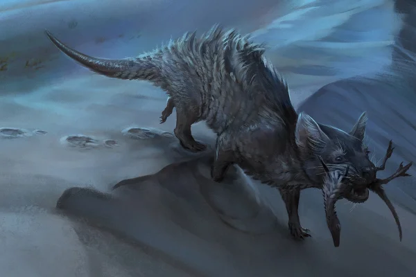 Pegada de grande mamífero da era dos dinossauros é achada em Santa Catarina