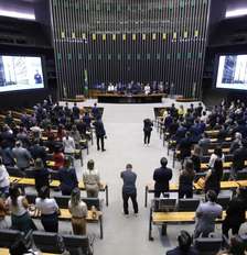 Veja os deputados federais eleitos por estado Foto: Divulgação