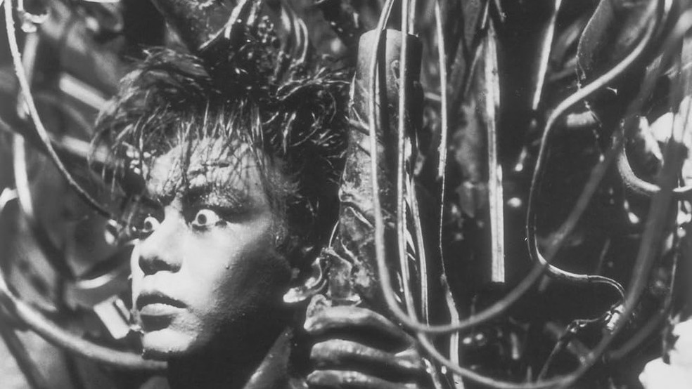 10 filmes de horror tipo Cara-de-Barro, mas só para quem tem estômago forte