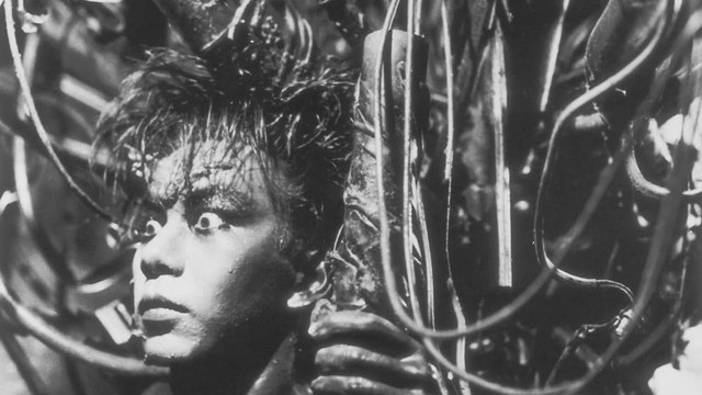 10 filmes de horror tipo Cara-de-Barro, mas só para quem tem estômago forte