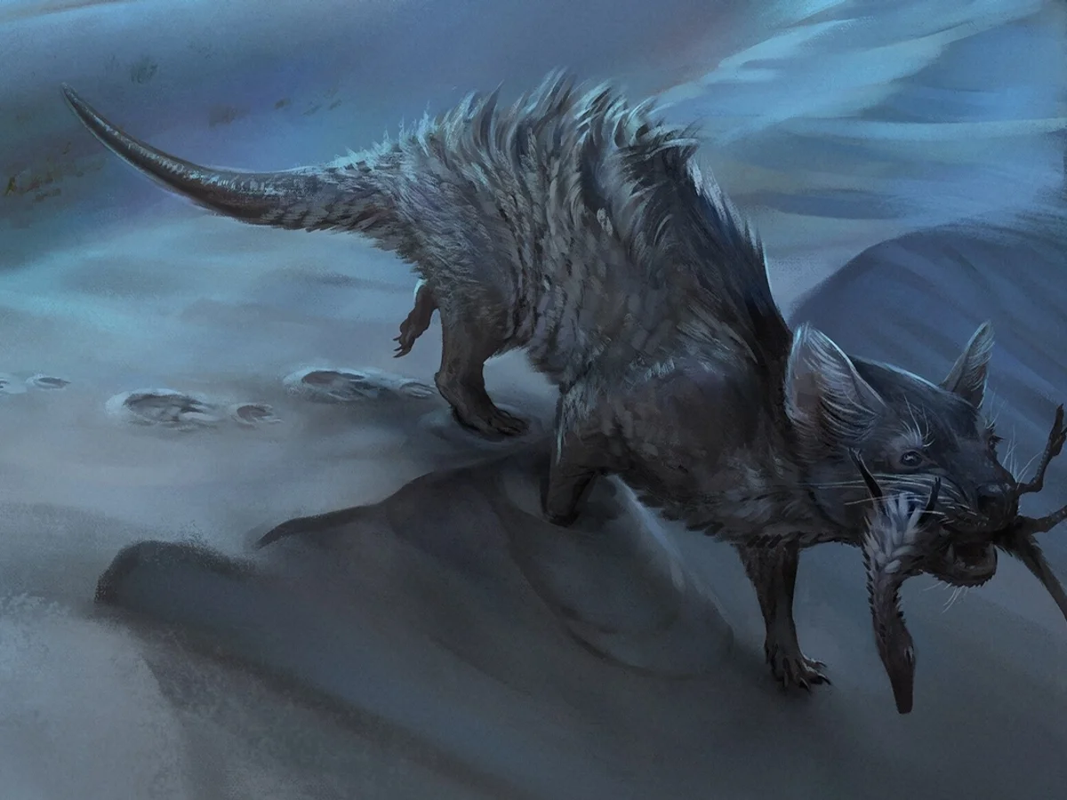 Pegada de grande mamífero da era dos dinossauros é achada em Santa Catarina
