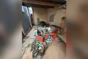 Polícia resgata mulher isolada há 18 anos após bullying na adolescência - imagem 2